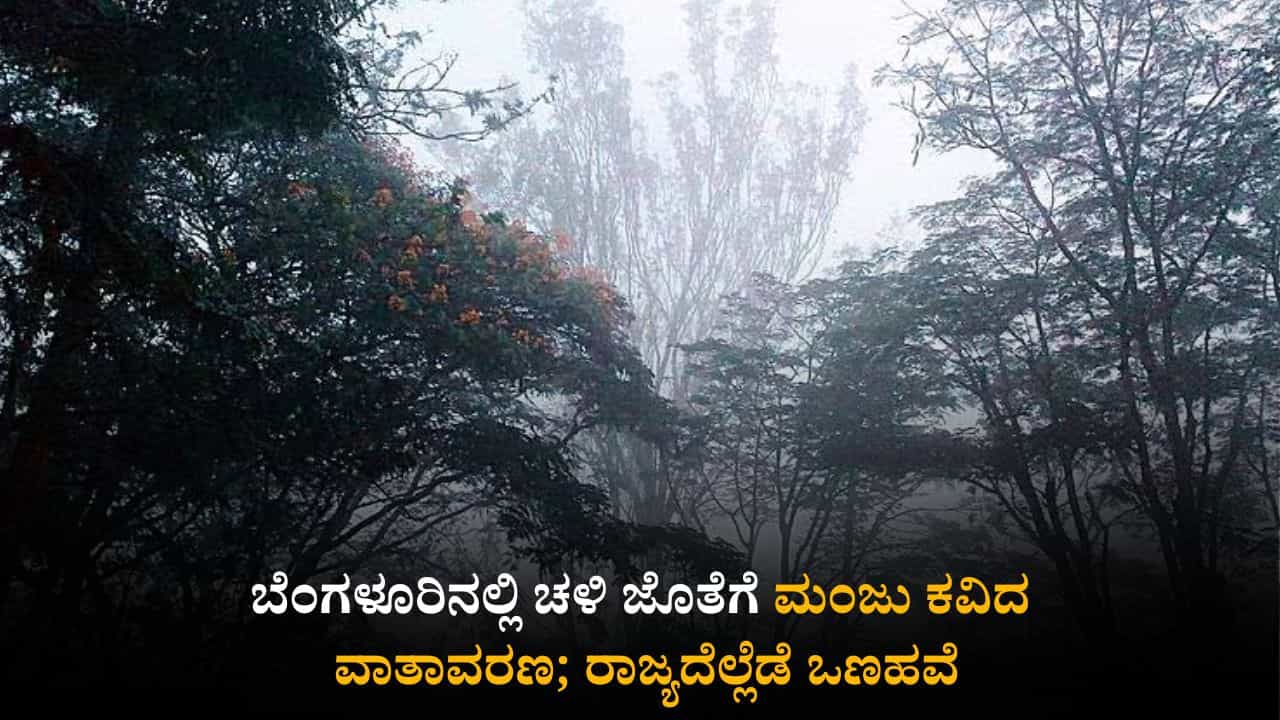 ಕರ್ನಾಟಕ ಹವಾಮಾನ ವರದಿ: ಬೆಂಗಳೂರಿನಲ್ಲಿ ಚಳಿ ಜೊತೆಗೆ ಮಂಜು ಕವಿದ ವಾತಾವರಣ; ರಾಜ್ಯದೆಲ್ಲೆಡೆ ಒಣಹವೆ ಕರ್ನಾಟಕ ಹವಾಮಾನ ವರದಿ: ಬೆಂಗಳೂರಿನಲ್ಲಿ ಚಳಿ ಜೊತೆಗೆ ಮಂಜು ಕವಿದ ವಾತಾವರಣ; ರಾಜ್ಯದೆಲ್ಲೆಡೆ ಒಣಹವೆ