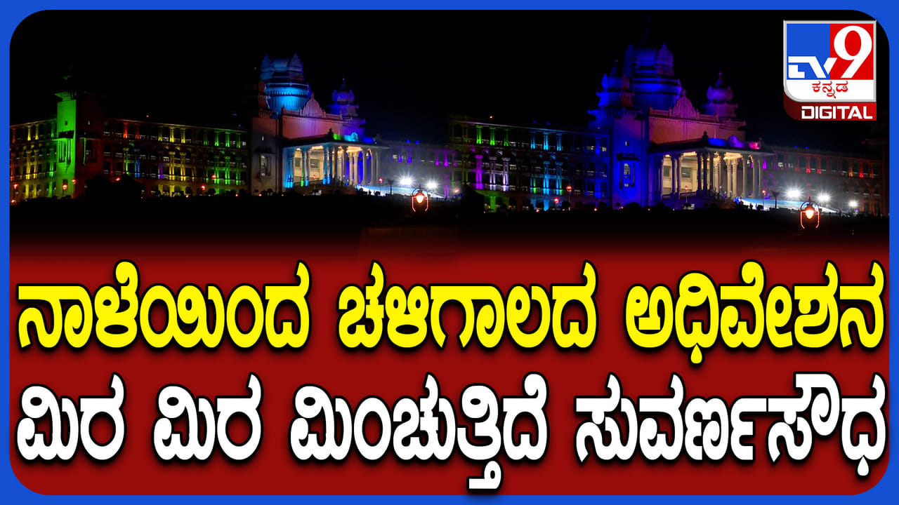 ನಾಳೆಯಿಂದ ಚಳಿಗಾಲದ ಅಧಿವೇಶನ: ಬಣ್ಣಬಣ್ಣದ ಲೈಟಿಂಗ್ಸ್​​​ನಿಂದ ಕಂಗೊಳಿಸಿದ ಸುವರ್ಣ ಸೌಧ​​