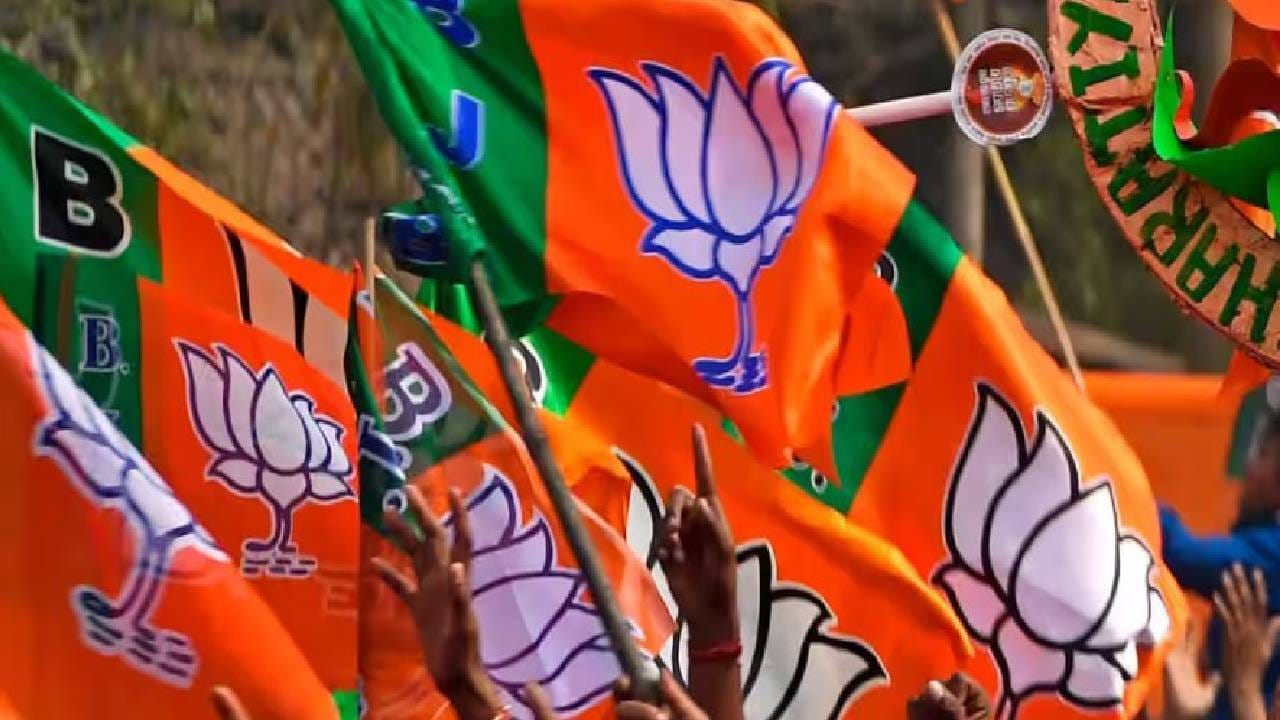 ಕೇರಳದಲ್ಲಿ ಬಿಜೆಪಿಯಿಂದ ಟಿಕೆಟ್​​ ಪಡೆದು ಪಂಚಾಯತ್ ಚುನಾವಣೆಗೆ ನಿಂತ ಸೋನಿಯಾ ಗಾಂಧಿ