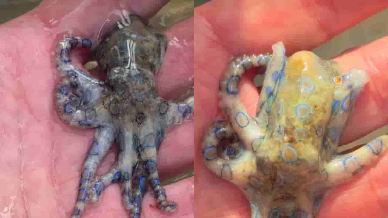 ಯಮನನ್ನೇ ಕೈಯಲ್ಲಿ ಹಿಡಿದುಕೊಂಡ ವ್ಯಕ್ತಿ, ನೀವು ತುಂಬಾ ಲಕ್ಕಿ ಎಂದ ನೆಟ್ಟಿಗರು