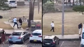 ಉಗ್ರನಿಂದ ರೈಫಲ್ ಕಿತ್ತುಕೊಂಡು ಓಡಿಸಿದ ವ್ಯಕ್ತಿ; ವಿಡಿಯೋ