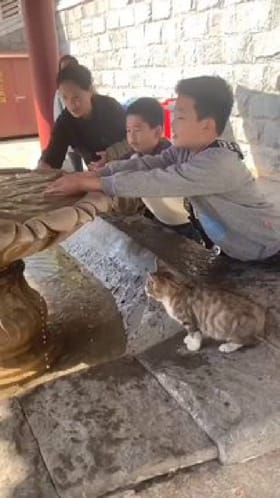 ಬಾಯಾರಿದ್ದ ಬೆಕ್ಕಿನ ಮರಿಗೆ ಪುಟ್ಟ ಬಾಲಕ ಮಾಡಿದ್ದೇನು?