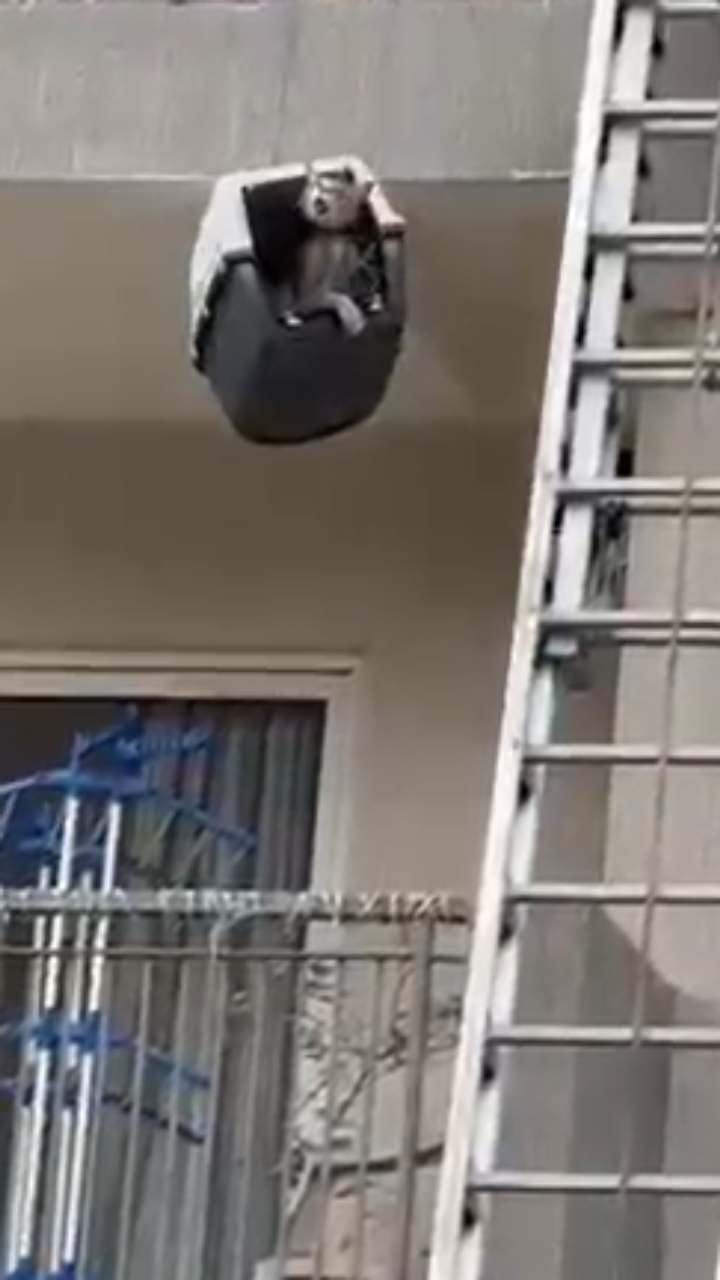 ಅಪಾರ್ಟ್ಮೆಂಟ್​​ ಸಜ್ಜಾದ ಮೇಲೆ ಸಿಲುಕಿದ್ದ ಬೆಕ್ಕಿನ ರಕ್ಷಣೆ