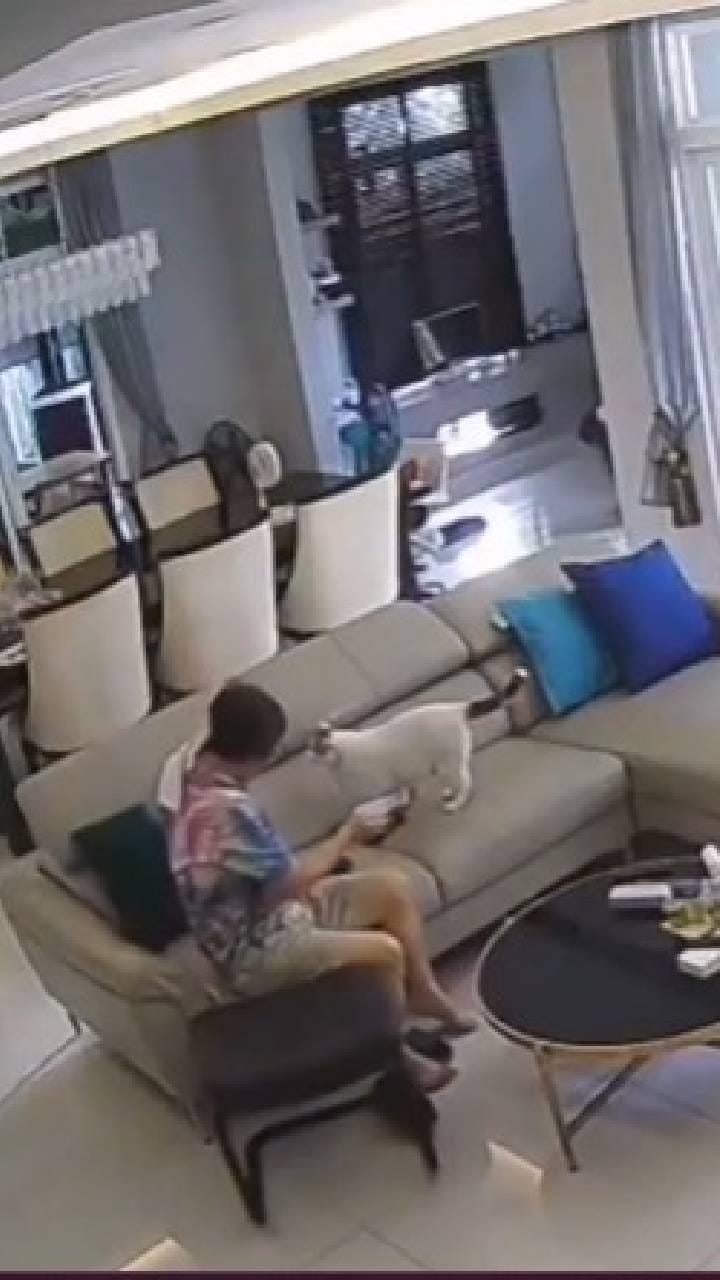 ಅದು ನನ್ನ ಜಾಗ ಸ್ವಲ್ಪ ಏಳ್ತೀರಾ, ಮಾತು ಬರ್ದೇ ಇದ್ರು ಬೆಕ್ಕಿನ ಸೊಕ್ಕಿಗೇನು ಕಡಿಮೆ ಇಲ್ಲ