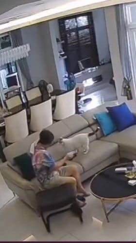 ಅದು ನನ್ನ ಜಾಗ ಸ್ವಲ್ಪ ಏಳ್ತೀರಾ, ಮಾತು ಬರ್ದೇ ಇದ್ರು ಬೆಕ್ಕಿನ ಸೊಕ್ಕಿಗೇನು ಕಡಿಮೆ ಇಲ್ಲ