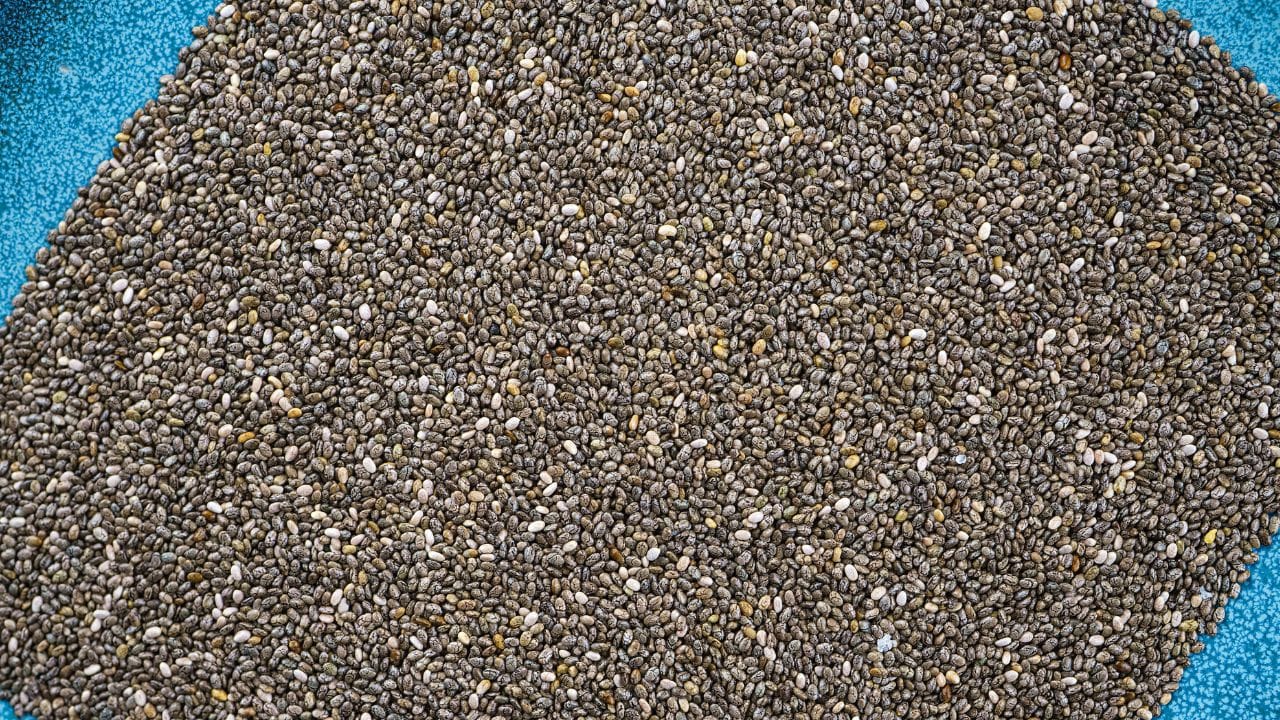ಆರೋಗ್ಯಕ್ಕೆ ಒಳ್ಳೆಯದು ಎಂದು ಚಿಯಾ ಸೀಡ್ಸ್ ಅತಿಯಾಗಿ ಸೇವನೆ ಮಾಡಿದ್ರೆ ಈ ಸಮಸ್ಯೆಗಳು ಬರುವುದು ನಿಶ್ಚಿತ!