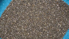 ಚಿಯಾ ಸೀಡ್ಸ್ ಅತಿಯಾಗಿ ತಿಂದ್ರೆ ಏನಾಗುತ್ತೆ ಗೊತ್ತಾ?