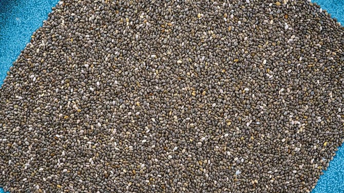 ಚಿಯಾ ಸೀಡ್ಸ್ ಅತಿಯಾಗಿ ತಿಂದ್ರೆ ಏನಾಗುತ್ತೆ ಗೊತ್ತಾ?
