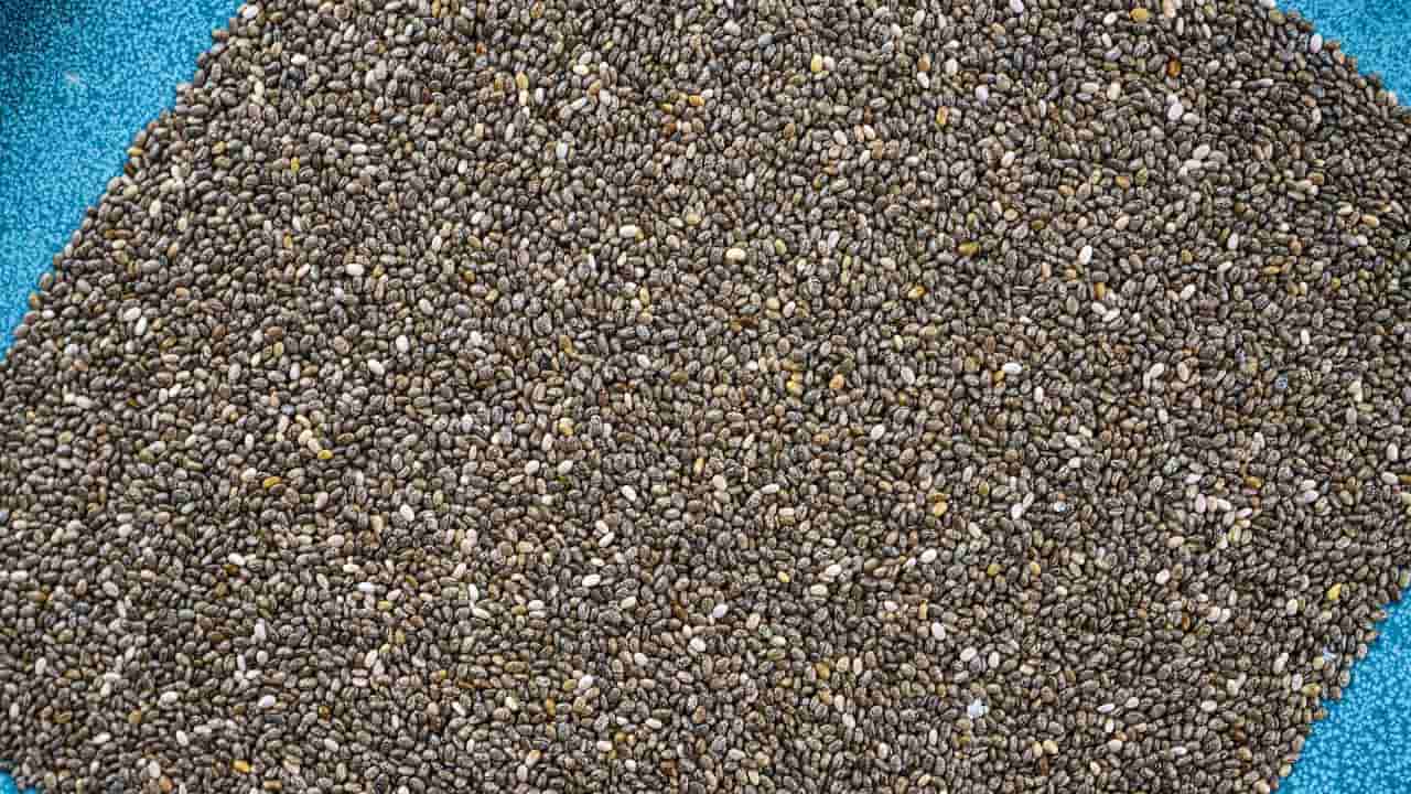 ಆರೋಗ್ಯಕ್ಕೆ ಒಳ್ಳೆಯದು ಎಂದು ಚಿಯಾ ಸೀಡ್ಸ್ ಅತಿಯಾಗಿ ಸೇವನೆ ಮಾಡಿದ್ರೆ ಈ ಸಮಸ್ಯೆಗಳು ಬರುವುದು ನಿಶ್ಚಿತ!