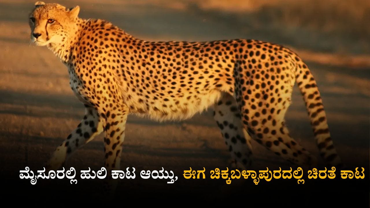 ನಂದಿಬೆಟ್ಟ, ಸ್ಕಂದಗಿರಿ ಸೇರಿ ಈ ಜಾಗಗಳಿಗೆ ಪಿಕ್​ನಿಕ್ ಹೋಗುವವರೇ ಎಚ್ಚರ: ಚಿಕ್ಕಬಳ್ಳಾಪುರದಲ್ಲಿ ಹೆಚ್ಚಿದೆ ಚಿರತೆ ಕಾಟ
