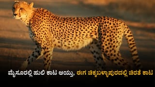 ನಂದಿಬೆಟ್ಟ, ಸ್ಕಂದಗಿರಿ ಸೇರಿ ಈ ಜಾಗಗಳಿಗೆ ಪಿಕ್​ನಿಕ್ ಹೋಗುವವರೇ ಎಚ್ಚರ: ಚಿಕ್ಕಬಳ್ಳಾಪುರದಲ್ಲಿ ಹೆಚ್ಚಿದೆ ಚಿರತೆ ಕಾಟ