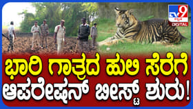 ಚಾಮರಾಜನಗರದಲ್ಲಿ ಶುರುವಾಯ್ತು ಆಪರೇಶನ್ ಬೀಸ್ಟ್!