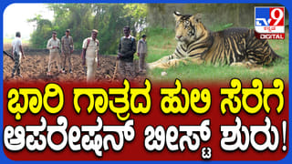 ಆನೇಕಲ್ ಸರಣಿ ಅಪಘಾತ: 20ಕ್ಕೂ ಹೆಚ್ಚು ವಾಹನಗಳಿಗೆ ಡಿಕ್ಕಿ, ನಾಲ್ವರಿಗೆ ಗಂಭೀರ ಗಾಯ