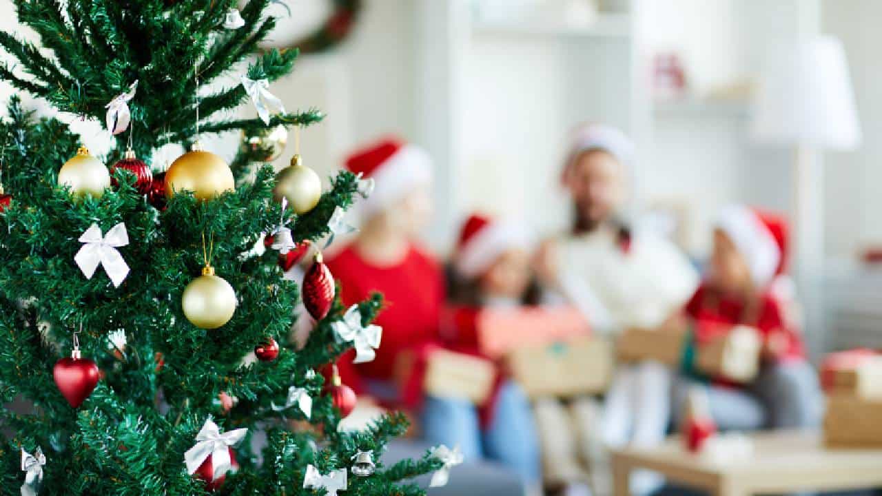 Christmas 2025: ಯೇಸುಕ್ರಿಸ್ತರ ಜನ್ಮ ದಿನಾಚರಣೆಯ ಸಂಭ್ರಮ; ಕ್ರಿಸ್ಮಸ್ ಹಬ್ಬದ ಇತಿಹಾಸ, ಮಹತ್ವವನ್ನು ತಿಳಿಯಿರಿ Christmas 2025: ಯೇಸುಕ್ರಿಸ್ತರ ಜನ್ಮ ದಿನಾಚರಣೆಯ ಸಂಭ್ರಮ; ಕ್ರಿಸ್ಮಸ್ ಹಬ್ಬದ ಇತಿಹಾಸ, ಮಹತ್ವವನ್ನು ತಿಳಿಯಿರಿ