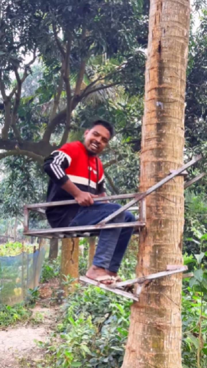 ತೆಂಗಿನ ಮರ ಹತ್ತಲು ಬಂದ ಹೊಸ ಮೆಷಿನ್​ ಹೇಗಿದೆ ನೋಡಿ