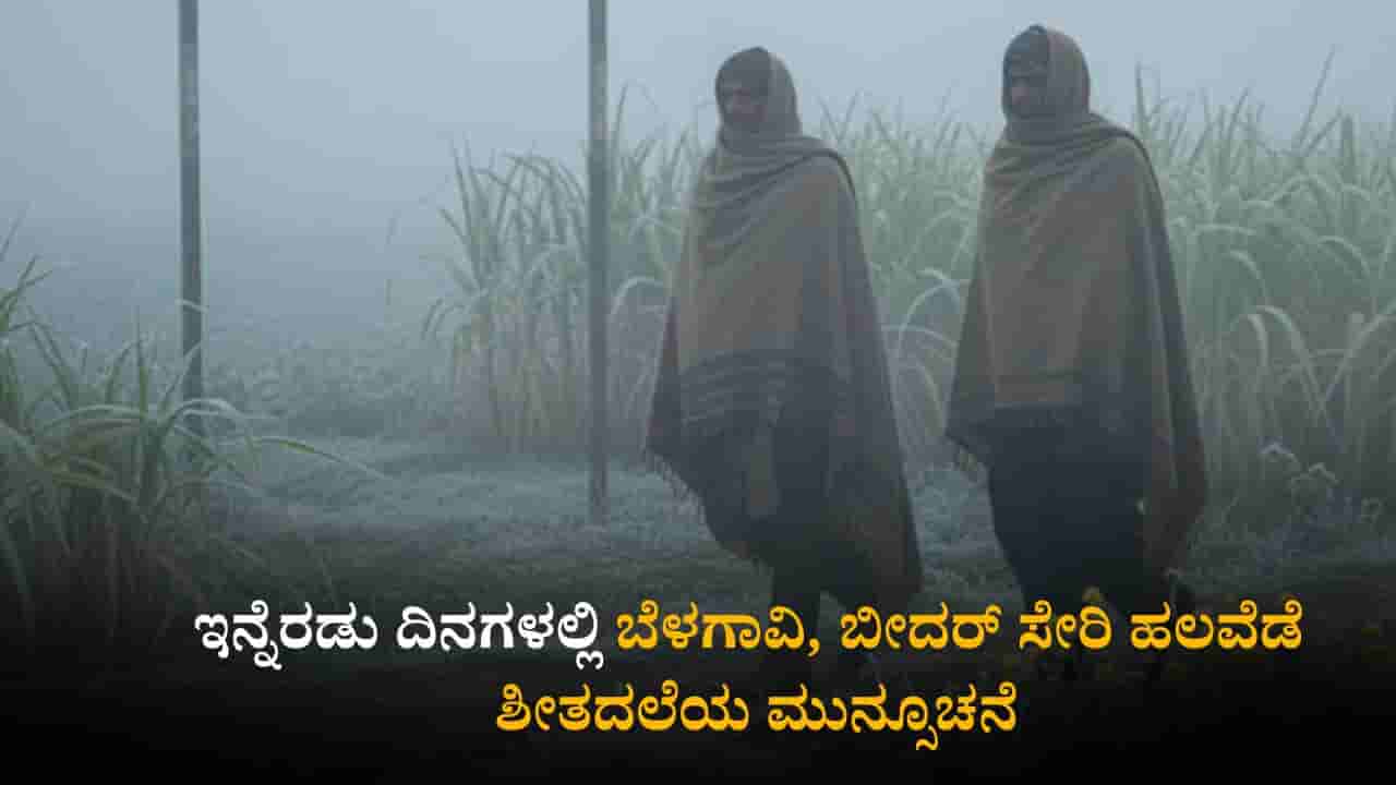 ಕರ್ನಾಟಕ ಹವಾಮಾನ ವರದಿ: ಇನ್ನೆರಡು ದಿನಗಳಲ್ಲಿ ಬೆಳಗಾವಿ, ಬೀದರ್ ಸೇರಿ ಹಲವೆಡೆ ಶೀತದಲೆಯ ಮುನ್ಸೂಚನೆ