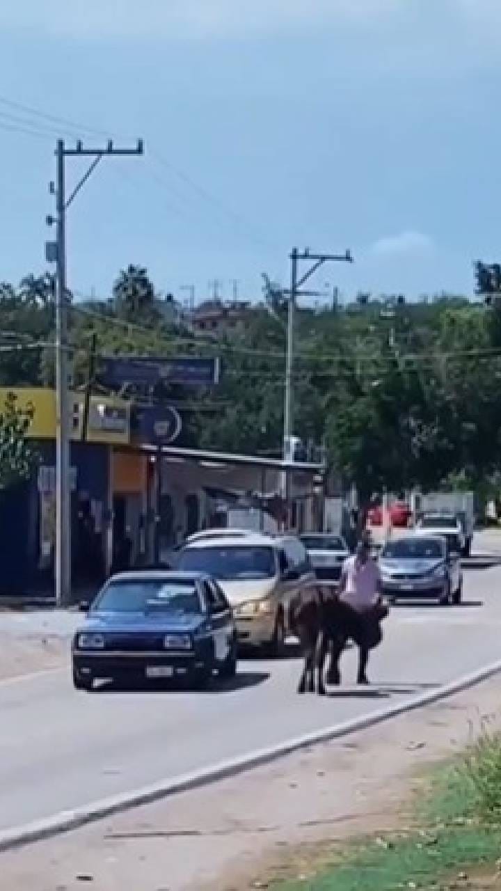 ತಲೆಗೆ ಸಿಕ್ಕಿಕೊಂಡ ಟೈರ್ ಕೆಳಗೆ ಹಾಕಲು ಹಸುವಿನ ಪರದಾಟ