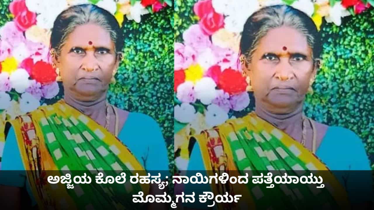ಅಜ್ಜಿಯ ಕೊಲೆ ರಹಸ್ಯ; ನಾಯಿಗಳಿಂದ ಬಯಲಾಯ್ತು ಮೊಮ್ಮಗನ ಕ್ರೌರ್ಯ