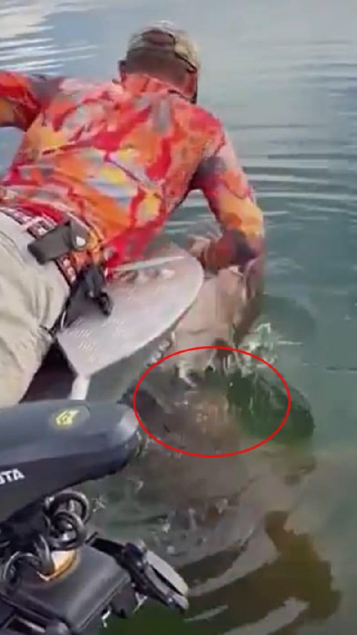 ಮೀನು ಹಿಡಿಯಲು ಹೋದವನಿಗೆ ಸರ್​​ಪ್ರೈಸ್ ಕೊಟ್ಟ ಮೊಸಳೆ!