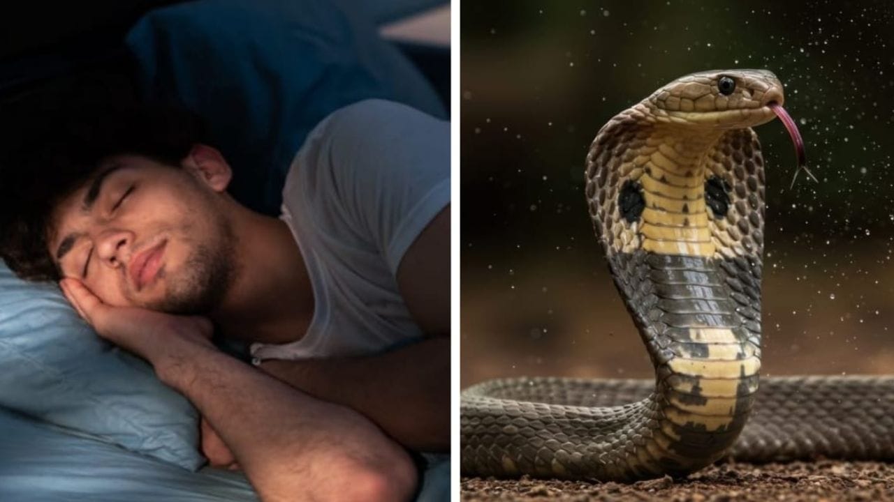 Daily Devotional: ಕನಸಿನಲ್ಲಿ ಹಾವು ಕಚ್ಚಿದ್ರೆ ಅದರ ಅರ್ಥ ಏನು ಗೊತ್ತಾ?