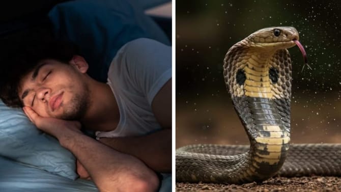 ಕನಸಿನಲ್ಲಿ ಹಾವು ಕಚ್ಚಿದ್ರೆ ಅದರ ಅರ್ಥ ಏನು ಗೊತ್ತಾ?