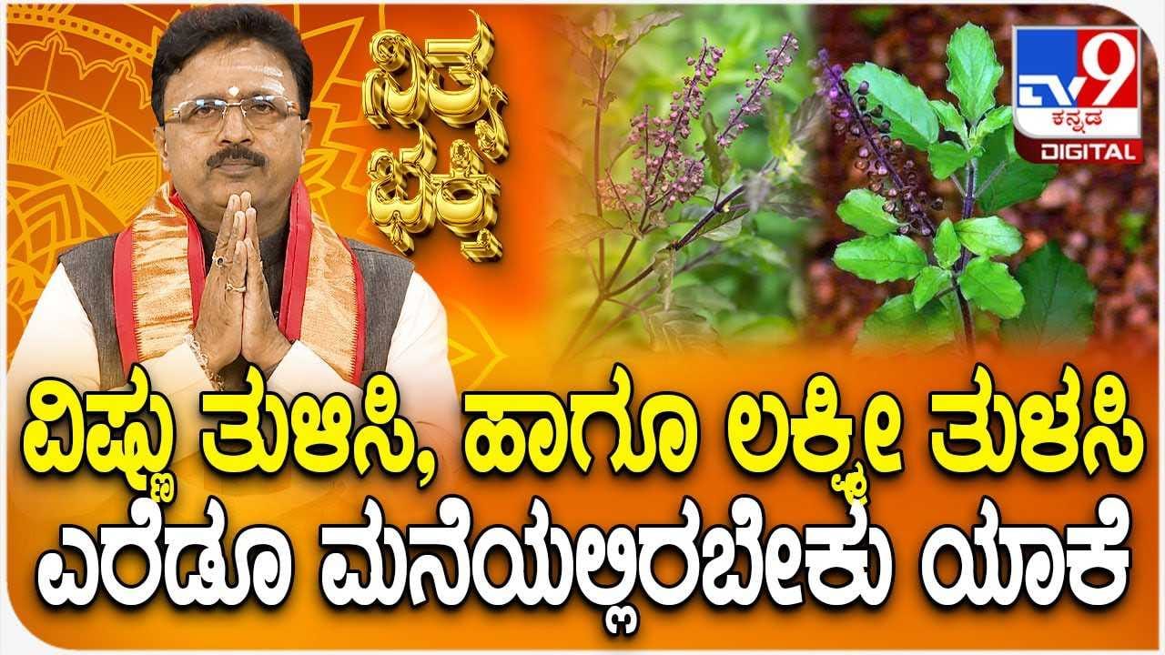 Daily Devotional: ವಿಷ್ಣು ತುಳಿಸಿ, ಹಾಗೂ ಲಕ್ಷ್ಮೀ ತುಳಸಿ ಎರೆಡೂ ಮನೆಯಲ್ಲಿರಬೇಕು ಯಾಕೆ? Daily Devotional: ವಿಷ್ಣು ತುಳಿಸಿ, ಹಾಗೂ ಲಕ್ಷ್ಮೀ ತುಳಸಿ ಎರೆಡೂ ಮನೆಯಲ್ಲಿರಬೇಕು ಯಾಕೆ?