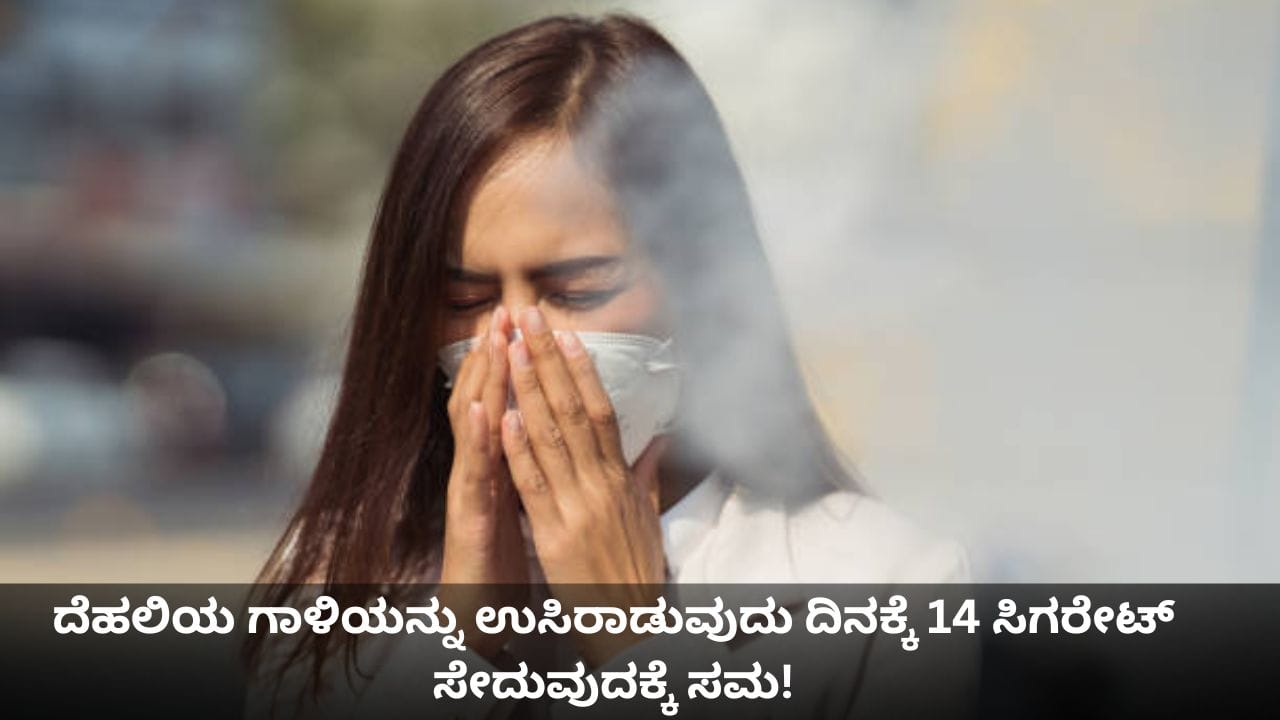 ದೆಹಲಿಯ ಗಾಳಿಯನ್ನು ಉಸಿರಾಡುವುದೂ ಒಂದೇ, ದಿನಕ್ಕೆ 14 ಸಿಗರೇಟ್ ಸೇದುವುದೂ ಒಂದೇ!