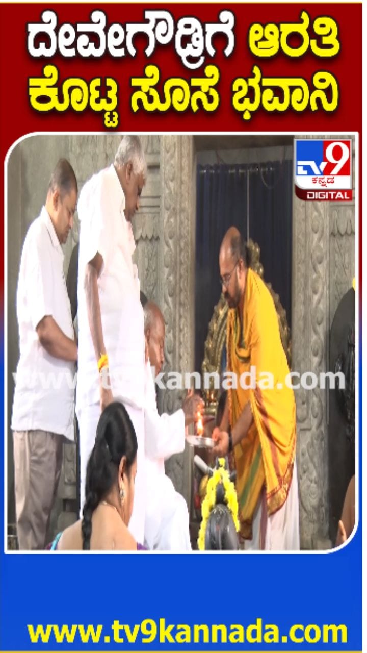 ಹುಟ್ಟೂರಲ್ಲಿ ದೇವರಿಗೆ ಪೂಜೆ ಸಲ್ಲಿಸಿದ ಹೆಚ್​ಡಿಡಿ