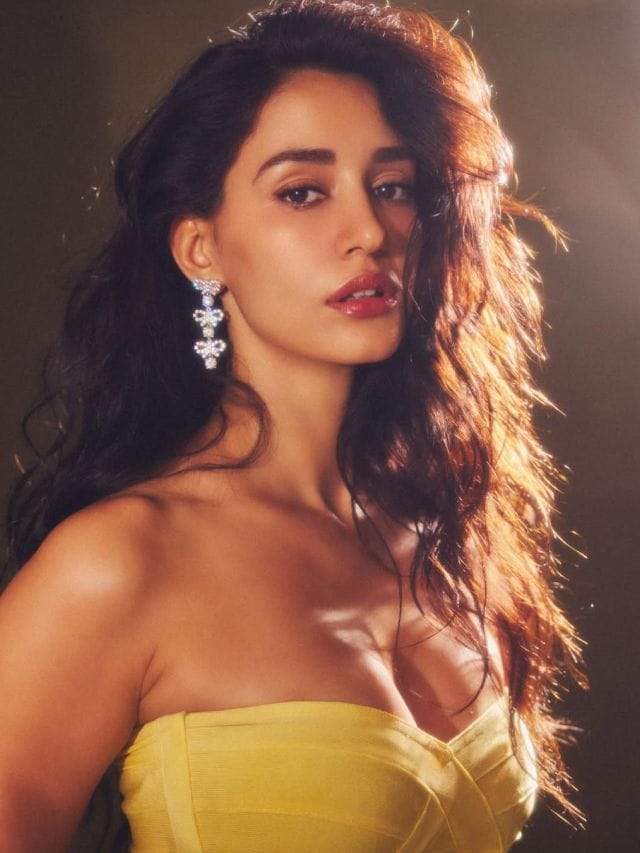 ದಿಶಾ ಪಟಾನಿ ಹಾಟ್ನೆಸ್ಗೆ ಮರುಳಾದ ಹಾಲಿವುಡ್, ಮತ್ತೊಂದು ಸಿನಿಮಾ?