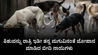 Video: ಹಿಂದೂ ದೇವತೆಗಳ ಬಗ್ಗೆ ರೇವಂತ್ ರೆಡ್ಡಿ ವಿವಾದಾತ್ಮಕ ಹೇಳಿಕೆ, ಭುಗಿಲೆದ್ದ ರಾಜಕೀಯ ವಿವಾದ