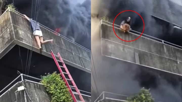 Video: ತನ್ನ ಪ್ರಾಣವನ್ನು ಲೆಕ್ಕಿಸದೆ ಬೆಂಕಿಯ ಜ್ವಾಲೆಯಿಂದ ತನ್ನ ಪ್ರೀತಿಯ ಶ್ವಾನಗಳನ್ನು ರಕ್ಷಿಸಿದ ಮಹಿಳೆ Video: ತನ್ನ ಪ್ರಾಣವನ್ನು ಲೆಕ್ಕಿಸದೆ ಬೆಂಕಿಯ ಜ್ವಾಲೆಯಿಂದ ತನ್ನ ಪ್ರೀತಿಯ ಶ್ವಾನಗಳನ್ನು ರಕ್ಷಿಸಿದ ಮಹಿಳೆ