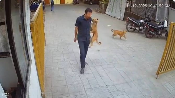 ಶಾಲೆಯ ಬಳಿ ಸೆಕ್ಯುರಿಟಿಯ ಭುಜಕ್ಕೆ ಕಚ್ಚಿದ ಬೀದಿ ನಾಯಿ