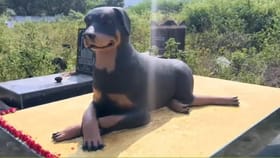 ತಮ್ಮ ಮನೆಯ ಶ್ವಾನದ ಸಮಾಧಿ ಕಟ್ಟಿ ಪೂಜಿಸುವ ಕುಟುಂಬ