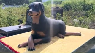 ಆಪರೇಷನ್ ಸಿಂಧೂರ್​​ನ ಮೊದಲ ದಿನವೇ ಭಾರತ ಸೋತಿತ್ತು; ಮಾಜಿ ಸಿಎಂ ಪೃಥ್ವಿರಾಜ್ ಚವಾಣ್ ವಿವಾದಾತ್ಮಕ ಹೇಳಿಕೆ