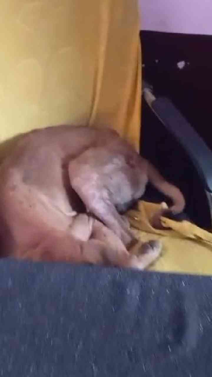 ಪಂಚಾಯ್ತಿಗೆ ಹೊಸ ಪಿಡಿಓ