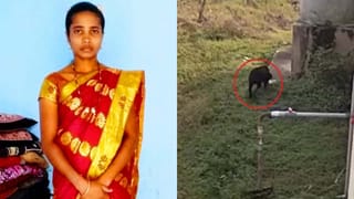 ದಾವಣಗೆರೆ: ತೋಟ ಕಾಯಲು ಬಿಟ್ಟಿದ್ದ ರಾಟ್​​​ ವೀಲರ್ ಶ್ವಾನಗಳ ದಾಳಿಗೆ ಮಹಿಳೆ ಬಲಿ