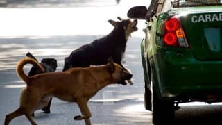 National Energy Conservation Day 2025: ರಾಷ್ಟ್ರೀಯ ಇಂಧನ ಸಂರಕ್ಷಣಾ ದಿನವನ್ನು ಆಚರಿಸುವುದೇಕೆ ಗೊತ್ತಾ?