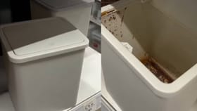 ಮಾರಾಟಕ್ಕೆಂದು ಇಟ್ಟಿದ್ದ ಡಸ್ಟ್​ಬಿನ್ ತೆರೆದು ಬೆಚ್ಚಿಬಿದ್ದ ಗ್ರಾಹಕ