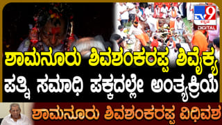 Video: ದೆಹಲಿ-ಆಗ್ರಾ ಎಕ್ಸ್​ಪ್ರೆಸ್​ವೇನಲ್ಲಿ ಹಲವು ಬಸ್​ಗಳಿಗೆ ಬೆಂಕಿ, ನಾಲ್ವರು ಸಾವು