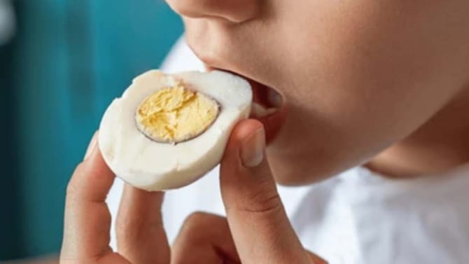 ಮೊಟ್ಟೆ ಸೇವನೆಯಿಂದ ಕ್ಯಾನ್ಸರ್​ ಬರಲ್ಲ: FSSAI ಸ್ಪಷ್ಟನೆ