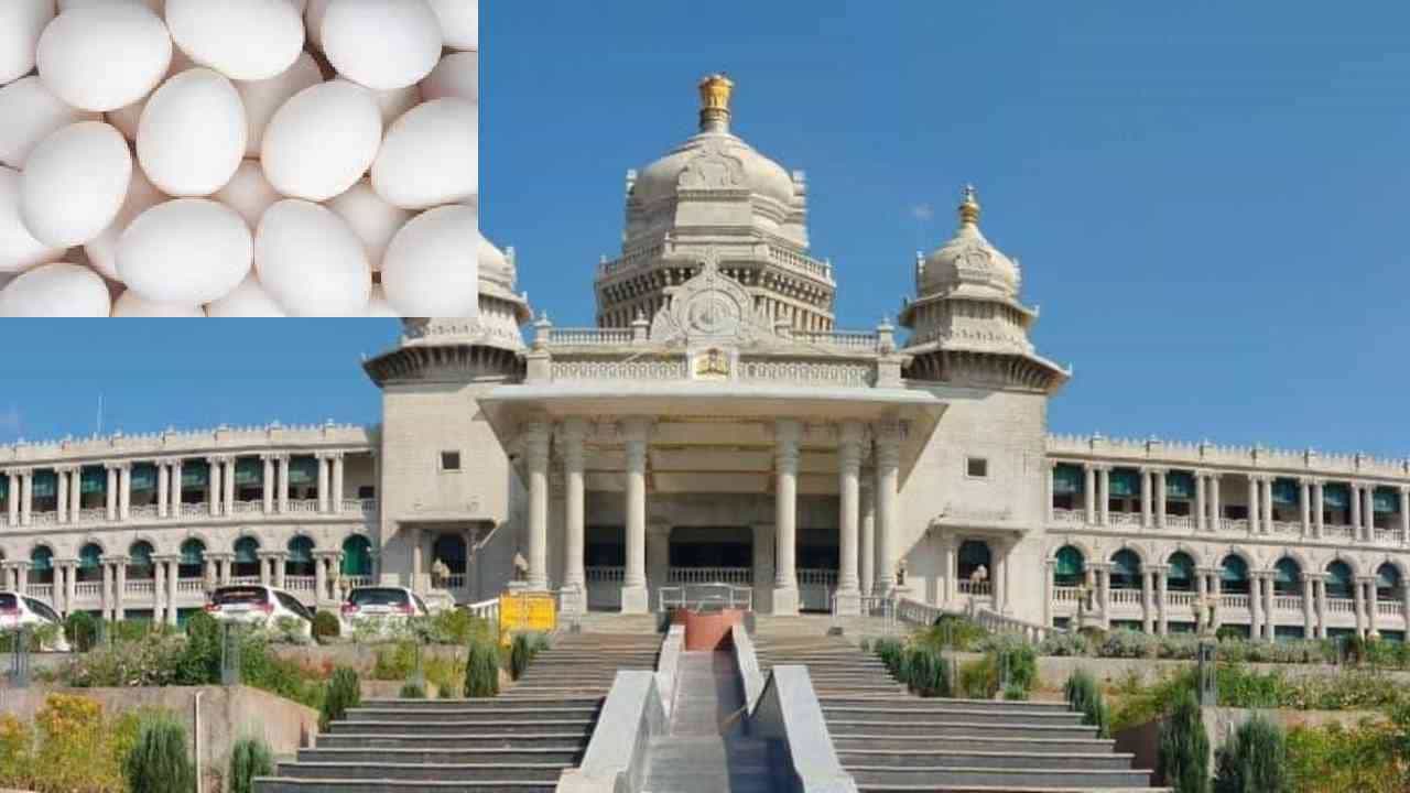 ಬೆಳಗಾವಿ ಅಧಿವೇಶನದಲ್ಲೂ ಸದ್ದು ಮಾಡಿದ ಮೊಟ್ಟೆ ಕ್ಯಾನ್ಸರ್ ಸುದ್ದಿ, ಯಾರು ಏನು ಹೇಳಿದ್ರು ನೋಡಿ ಬೆಳಗಾವಿ ಅಧಿವೇಶನದಲ್ಲೂ ಸದ್ದು ಮಾಡಿದ ಮೊಟ್ಟೆ ಕ್ಯಾನ್ಸರ್ ಸುದ್ದಿ, ಯಾರು ಏನು ಹೇಳಿದ್ರು ನೋಡಿ