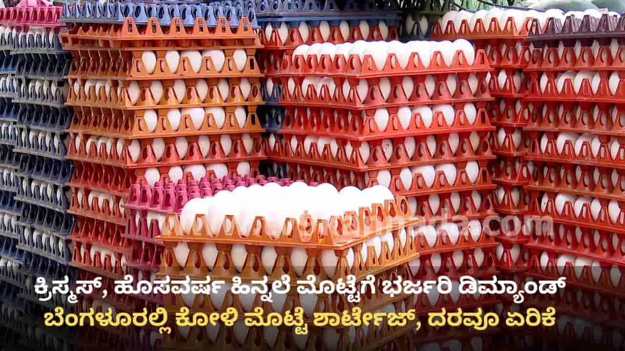ಬೆಂಗಳೂರಿನಲ್ಲಿ ಕೋಳಿ ಮೊಟ್ಟೆ ದರ ಏರಿಕೆ: ಕ್ರಿಸ್ಮಸ್, ಹೊಸ ವರ್ಷ ಹಿನ್ನೆಲೆ ಬೇಡಿಕೆ ಹೆಚ್ಚಳ