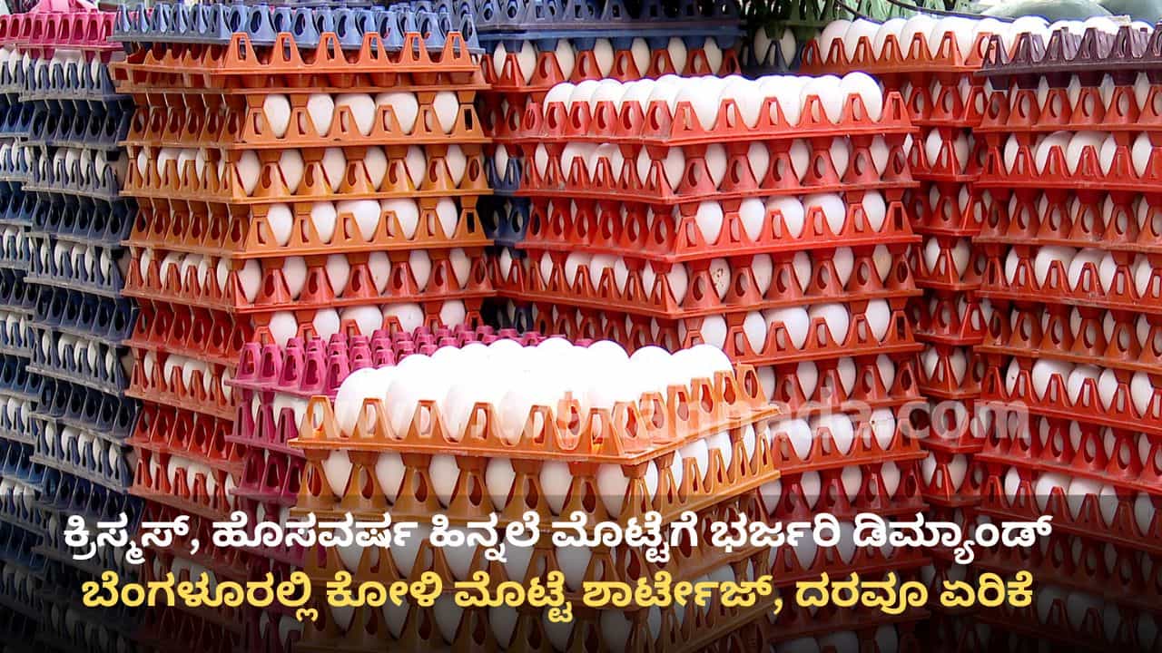 ಬೆಂಗಳೂರಿನಲ್ಲಿ ಕೋಳಿ ಮೊಟ್ಟೆ ದರ ಏರಿಕೆ: ಕ್ರಿಸ್ಮಸ್, ಹೊಸ ವರ್ಷ ಹಿನ್ನೆಲೆ ಬೇಡಿಕೆ ಹೆಚ್ಚಳ ಬೆಂಗಳೂರಿನಲ್ಲಿ ಕೋಳಿ ಮೊಟ್ಟೆ ದರ ಏರಿಕೆ: ಕ್ರಿಸ್ಮಸ್, ಹೊಸ ವರ್ಷ ಹಿನ್ನೆಲೆ ಬೇಡಿಕೆ ಹೆಚ್ಚಳ