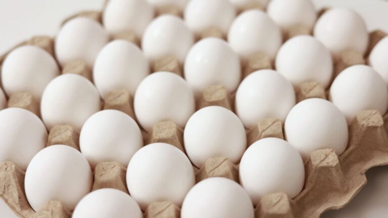 ಮೊಟ್ಟೆಗಳಲ್ಲಿ ಕ್ಯಾನ್ಸರ್ ಕಾರಕ ಅಂಶ ಪತ್ತೆ?: ಸೋಶಿಯಲ್ ಮೀಡಿಯಾಗಳಲ್ಲೀಗ ಇದೇ ಚರ್ಚೆ! ಮೊಟ್ಟೆಗಳಲ್ಲಿ ಕ್ಯಾನ್ಸರ್ ಕಾರಕ ಅಂಶ ಪತ್ತೆ?: ಸೋಶಿಯಲ್ ಮೀಡಿಯಾಗಳಲ್ಲೀಗ ಇದೇ ಚರ್ಚೆ!
