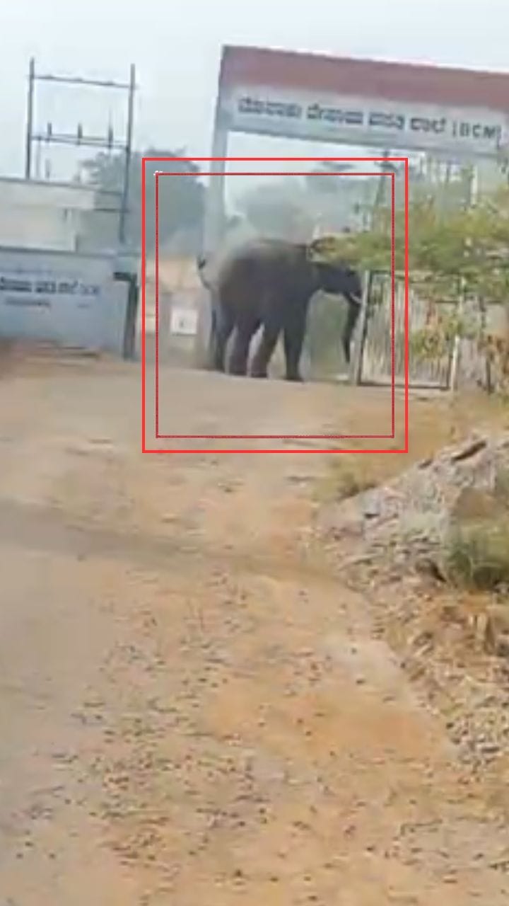 ವಸತಿ ಶಾಲೆ ಬಳಿ ಕಾಡಾನೆ ಹಾವಳಿ