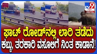 ಪ್ರಧಾನಿ ಮೋದಿಗೆ ಜೋರ್ಡಾನ್‌ನಲ್ಲಿ ಸಾಂಪ್ರದಾಯಿಕ ಸ್ವಾಗತ