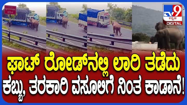 ಭಲೇ ಆನೆ: ಪೊಲೀಸರಂತೆ ವಾಹನ ತಪಾಸಣೆ ಮಾಡಿದ ಕಾಡಾನೆ, ವಿಡಿಯೋ ನೋಡಿ ಭಲೇ ಆನೆ: ಪೊಲೀಸರಂತೆ ವಾಹನ ತಪಾಸಣೆ ಮಾಡಿದ ಕಾಡಾನೆ, ವಿಡಿಯೋ ನೋಡಿ