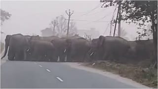 ಹುಬ್ಬಳ್ಳಿ ಮರ್ಯಾದೆ ಹತ್ಯೆ: ದಲಿತರು ಪ್ರೀತಿನೇ ಮಾಡಬಾರದಾ? ಮುತಾಲಿಕ್ ಕೆಂಡಾಮಂಡಲ