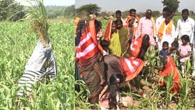 ಭೂತಾಯಿಗೆ ಚರಗ, ಹೊಲದಲ್ಲೇ ವೆರೈಟಿ ಊಟ: ಎಳ್ಳಮಾವಾಸ್ಯೆ ಬಗ್ಗೆ ತಿಳಿಯಿರಿ