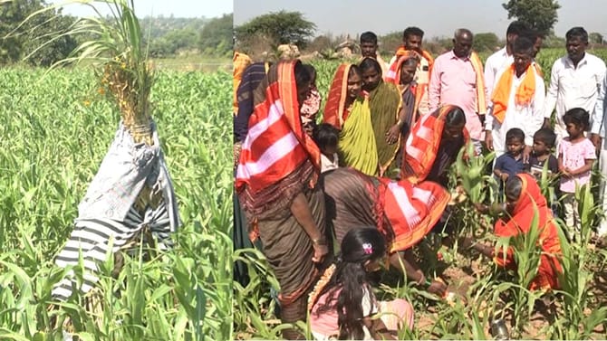 ಭೂತಾಯಿಗೆ ಚರಗ, ಹೊಲದಲ್ಲೇ ವೆರೈಟಿ ಊಟ: ಎಳ್ಳಮಾವಾಸ್ಯೆ ಬಗ್ಗೆ ತಿಳಿಯಿರಿ